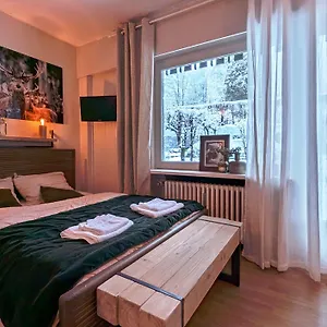 Apartment Au Petit Bois, Chamonix